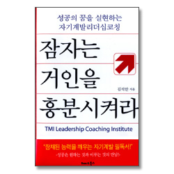 잠자는 거인을 흥분시켜라 - 성공의 꿈을 실현하는 자기계발리더십코칭