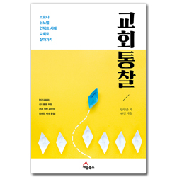 교회 통찰 (코로나 언택트 뉴노멀 시대 교회로 살아가기)