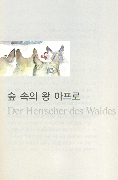 당나귀 찰리는 어떻게 꿈을 이루었나-총판해지