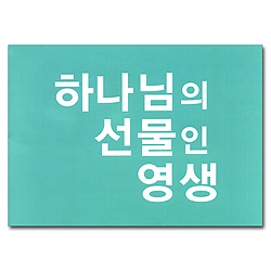 [소책자] 하나님의 선물인 영생 (대 10매)