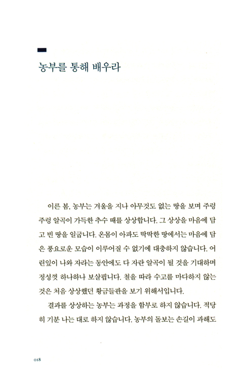 어머니 세움 (청소년 자녀를 성공적으로 키우기 위한)