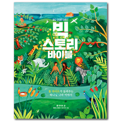 빅 스토리 바이블 (톰 라이트가 들려주는 하나님 나라 이야기)
