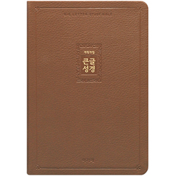 [개역개정4판] 큰글성경 특대 (단본/색인/주석/PU/무지퍼/브라운)