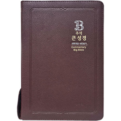 <font color=red>[개역개정4판+새찬송가]</font> 주석 큰성경 대 (합본/색인/주석/PU/지퍼/초코)