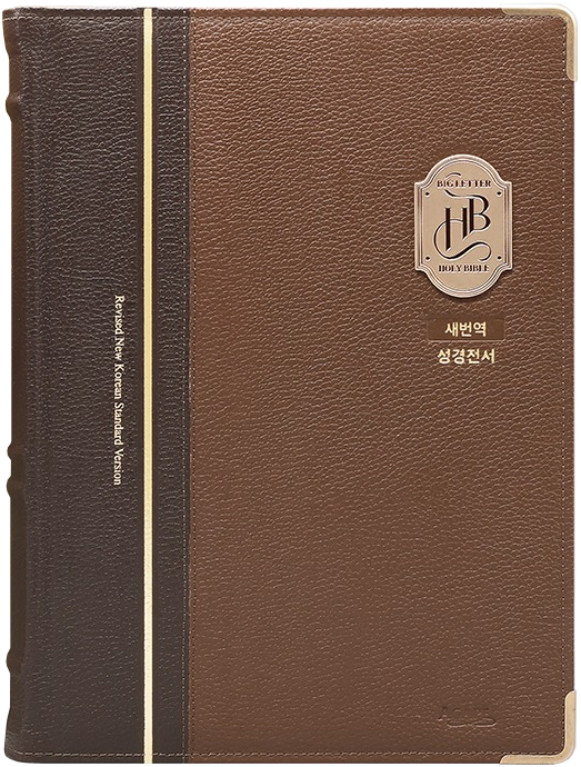 [새번역] 새번역 큰글성경 강대용 (단본/색인/주석/천연우피/무지퍼/투톤브라운)