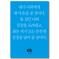 메시지 에스겔 (미니북)