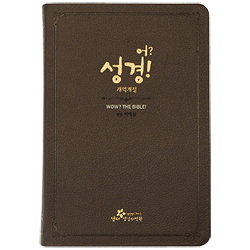 [개역개정4판] 어? 성경 (단본/천연우피/다크브라운)