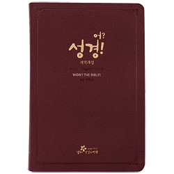 [개역개정4판] 어? 성경 (단본/천연우피/버건디)