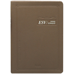 [개역개정4판] ESV 한영해설성경 특대 (단본/색인/주석/PU/무지퍼/모카브라운)