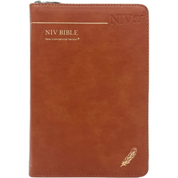 NIV BIBLE 중 (단본/색인/무주석/PU/지퍼/브라운)