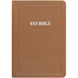영문 ESV BIBLE 중 (단본/색인/무주석/PU/무지퍼/브라운)