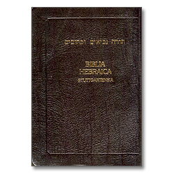 원어성경 신구약 (무색인/가죽/검정)