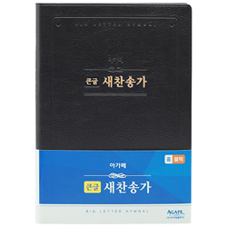 <font color=red>[새찬송가]</font> 큰글 새찬송가 중 (비닐/블랙)