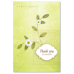 감사 꽃카드-9504
