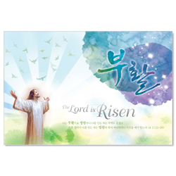 부활 Risen