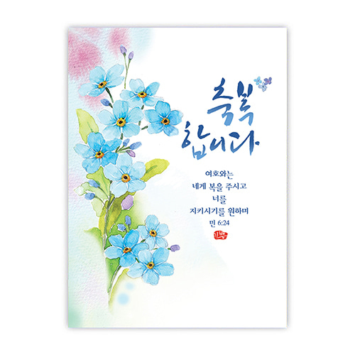 플라워캘리카드-축복합니다(NKC1023)