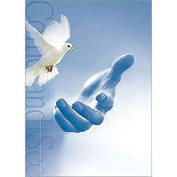 A4 4면주보-1069 (1속 100장)