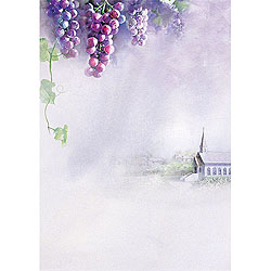 A4 4면주보-1072 (1속 100장)