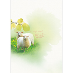 A4 4면주보-1091 (1속 100장)