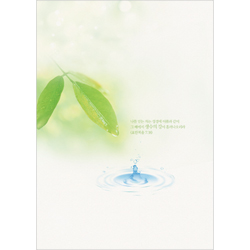 A4 4면주보-1094 (1속 100장)