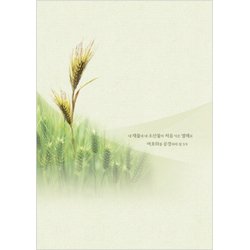 <font color=blue><b>A4 4면 맥추주보</b></font>-1113 (1속 100장)