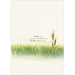 <font color=blue><b>A4 4면 맥추주보</b></font>-1114 (1속 100장)