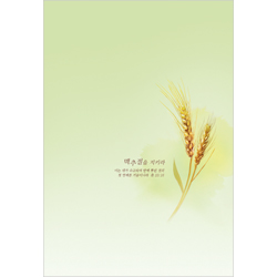 <font color=blue><b>A4 4면 맥추주보</b></font>-1115 (1속 100장)