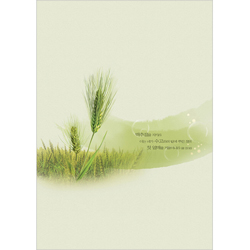 <font color=blue><b>A4 4면 맥추주보</b></font>-1116 (1속 100장)