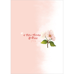 A4 4면 일반주보-300009 (1속 100장)