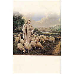 4면 미주용주보-1152 (1속 100장)