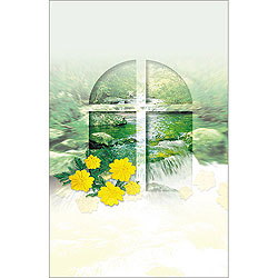 4면 미주용주보-1158 (1속 100장)