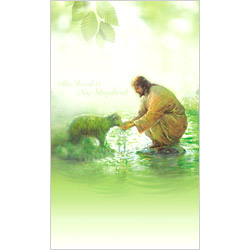 6면 미주용주보-1172 (1속 100장)