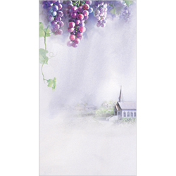 6면 미주용주보-1175 (1속 100장)