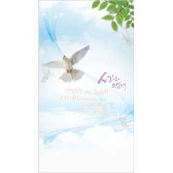 6면 미주용주보-1177 (1속 100장)