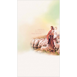 6면 미주용주보-1186 (1속 100장)