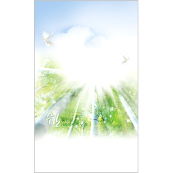 6면 일반주보-1705 (1속 100장)