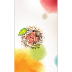 4면 일반주보-1311 (1속 100장)