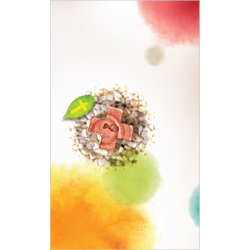 6면 일반주보-1311 (1속 100장)