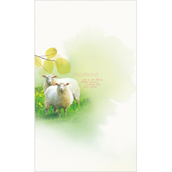 6면 일반주보-1321 (1속 100장)