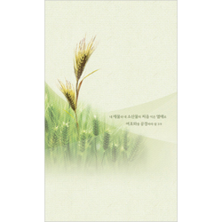 4면 맥추감사주일주보-2126 (1속 100장)