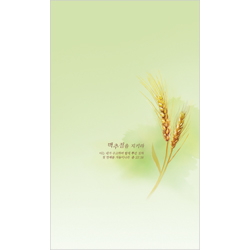 4면 맥추감사주일주보-2128 (1속 100장)