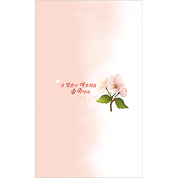 6면 일반주보-200009 (1속 100장)