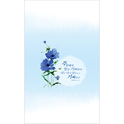 4면 일반주보-100010 (1속 100장)