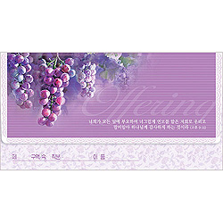 무지 헌금봉투-3703 (1속 50장)