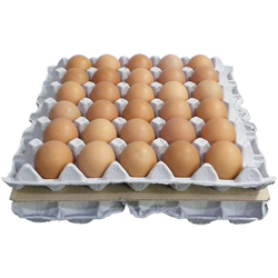 부활절 구운계란 (1판 30개)