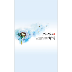 4면 일반주보-향기/하늘색 (1속 100장)