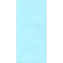 규격 봉투 (1속 100장) - 색지 (4종 중 택1)