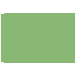 컬러 각대봉투 大 (1박스 500장)