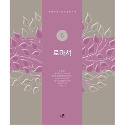 로마서 (개역개정 신약성경 쓰기 6)