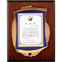 *짤프패 (JP335-5)